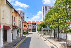 Farrer Park View (D8), Shop House #618974181